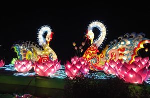 The NC Chinese Lantern Festival- Winter Fun For All Ages!