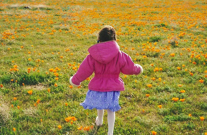 Little girl running through a field of flowers while traveling.