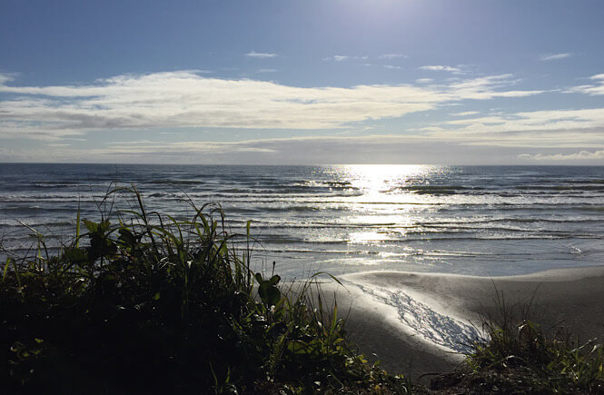 Kalaloch Beach in Olympic National Park- photo courtesy of Tripscholars.