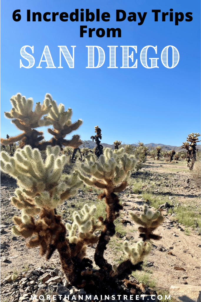 6 San Diego day trips featuring Joshua Tree National park