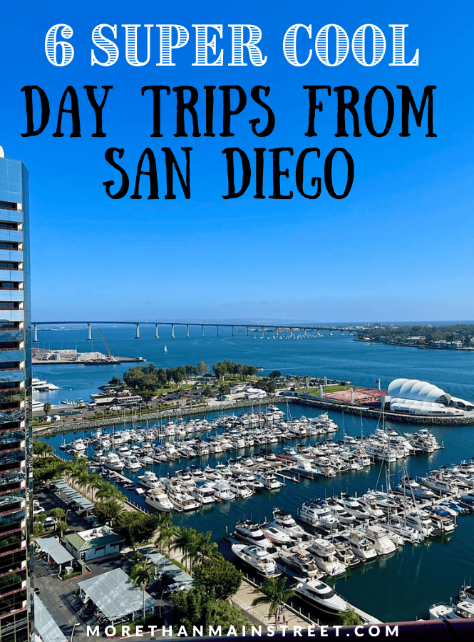 6 Incredible Day trips from San Diego (view from Marriott of San Diego harbor)