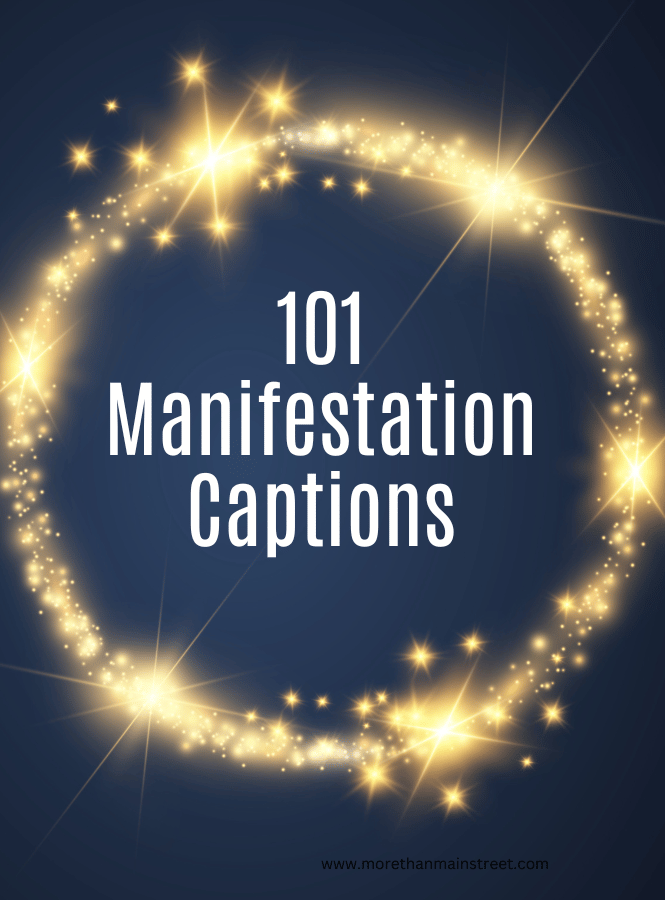 101 Manifestation captions